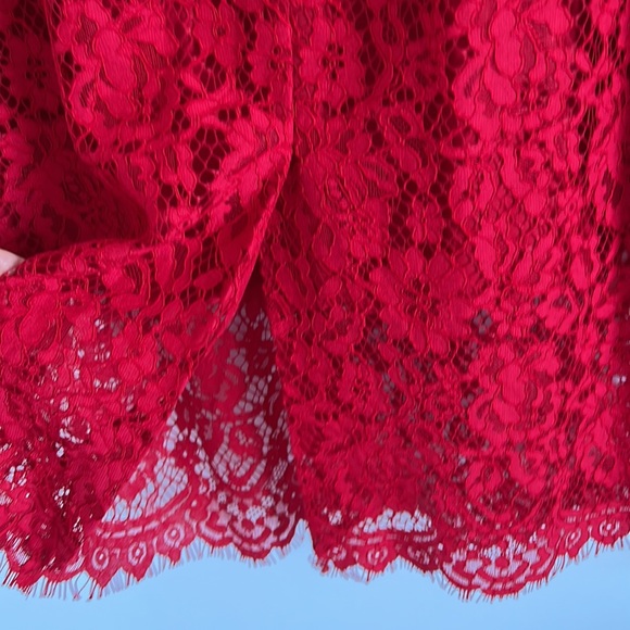 J Crew Red Lace Sheath Dress - Picture 5 of 11